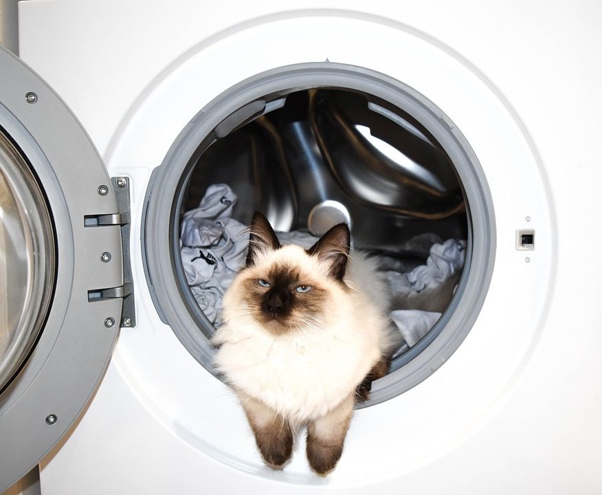 Kdo vynalezl pračku - Skvělý Návod