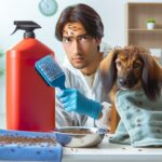 Jak se zbavit blech u psa: Rychlé a efektivní řešení 6 Jak se zbavit blech u psa: Rychlé a efektivní řešení